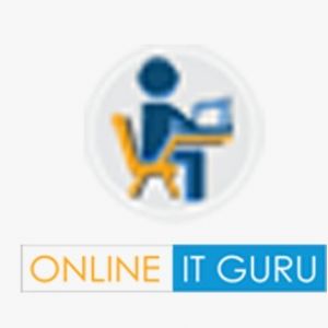 Online it guru
